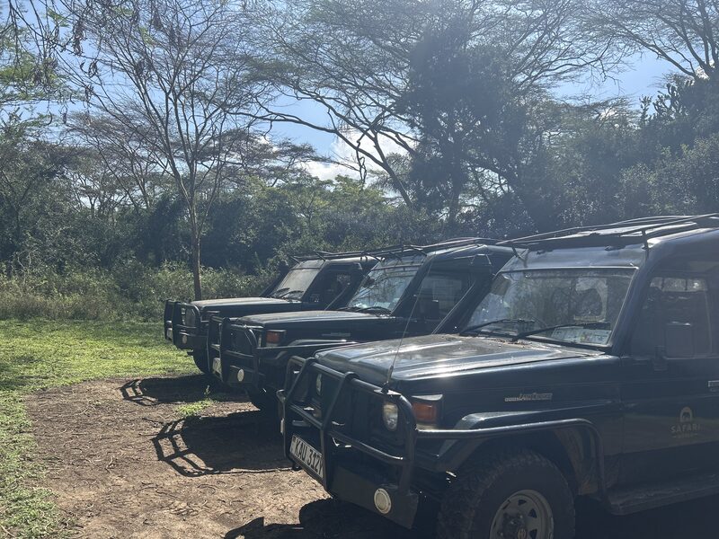 Fleet of Safari World vehicles