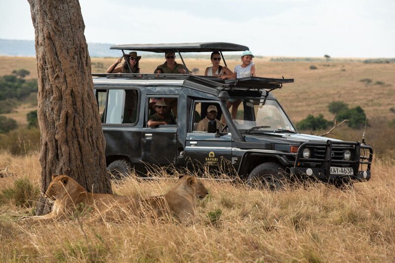 Guests in an open safari vehicle watching lions under a tree