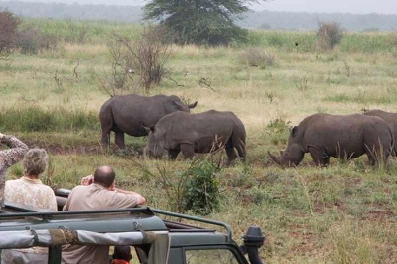 Guests viewing rhinos from Safari World vehicle