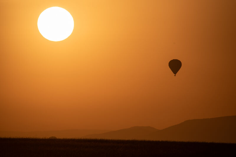 Giraffe profile portrait against green background