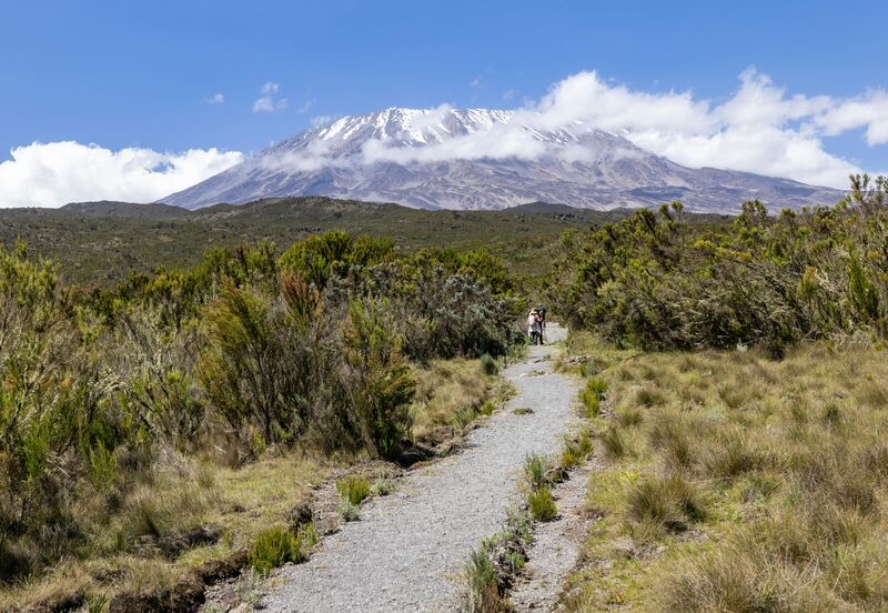 Trekkers hiking on Kilimanjaro's slopes