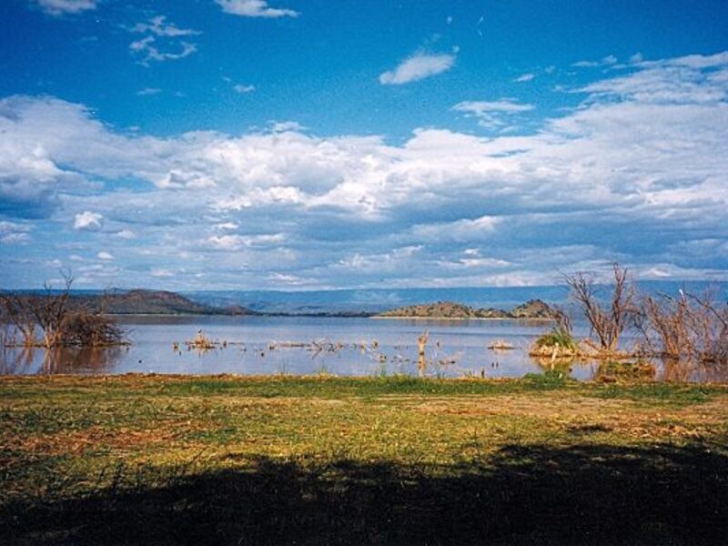 Lake Nakuru with flamingos and birds