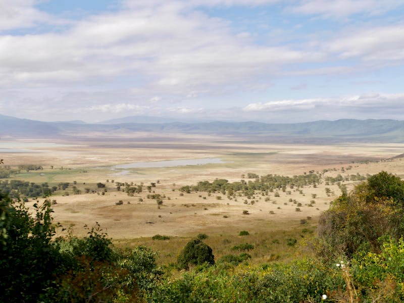 Ngorongoro Crater floor seen from the rim, with a lake and open grassland