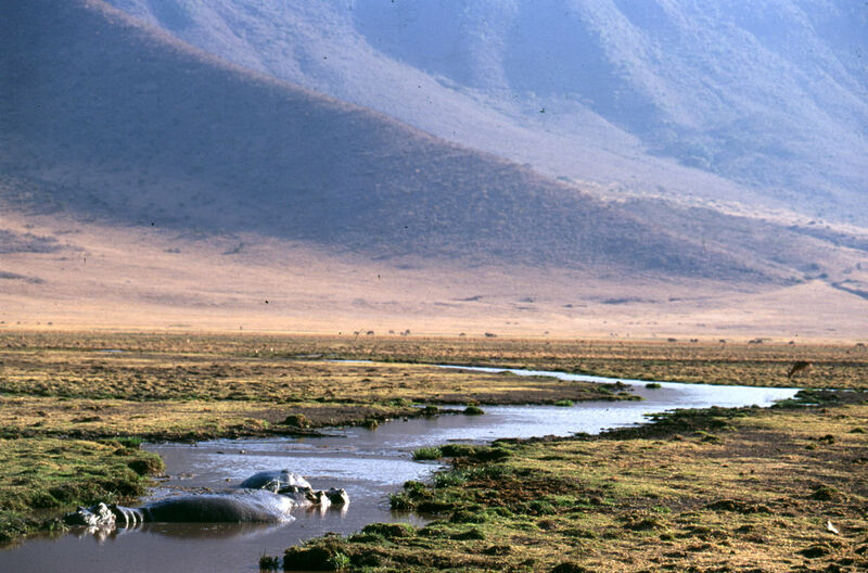 River winding through grassland landscape
