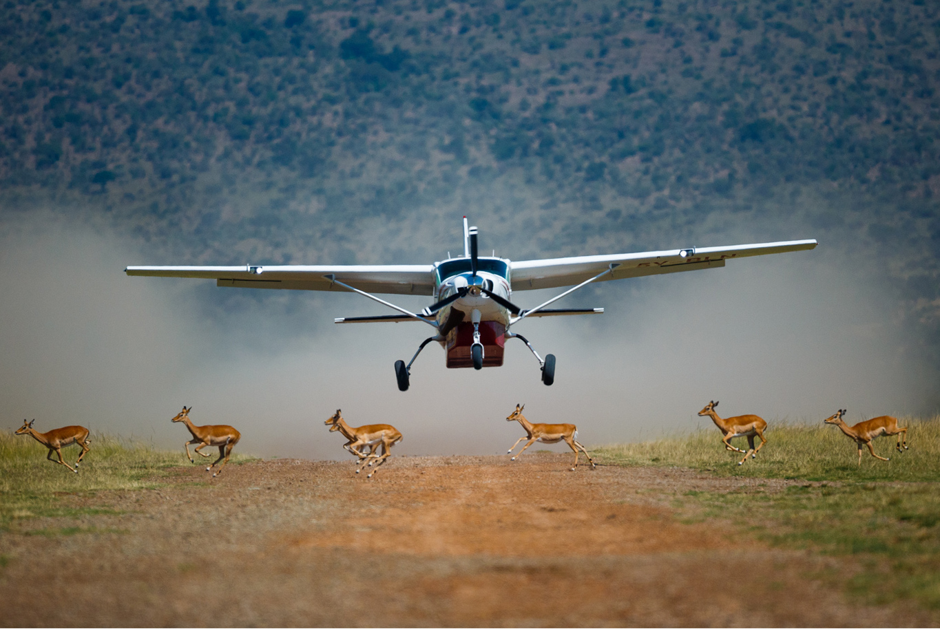 Masai Mara Air Safari
