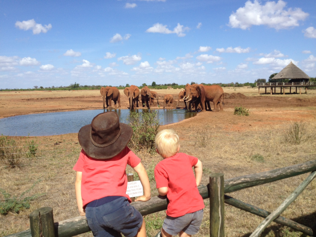 children on safari, first safari, game spotting